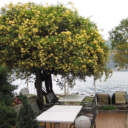 Piccolo Hotel Direkt Am See Бренцоне-суль-Гарда Екстер'єр фото