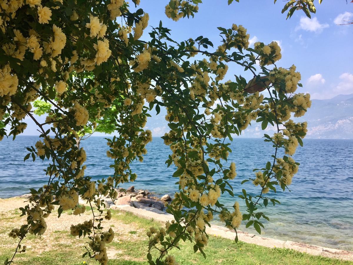 Piccolo Hotel Direkt Am See Бренцоне-суль-Гарда Екстер'єр фото